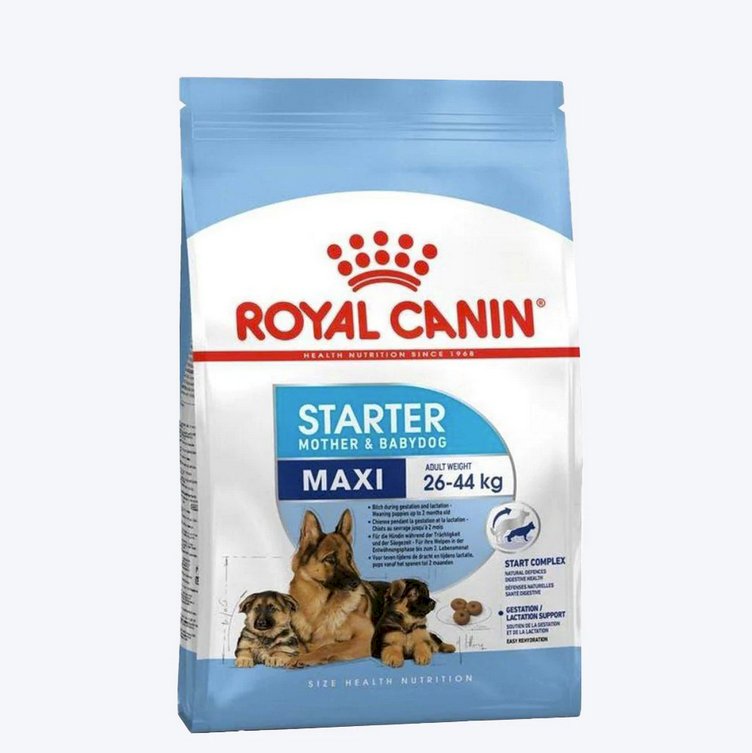 Royal canin maxi breed starter puppy food