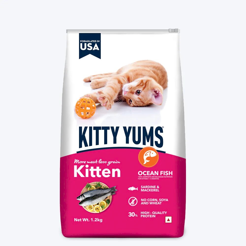 Kitty yums kitten(1-12 months) dry cat food - ocean fish